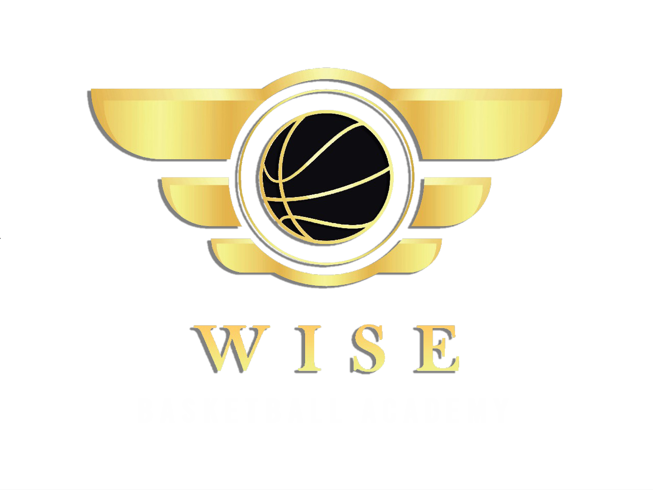 Wise Basketball Academy